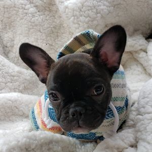 Meet your Posher, Heather